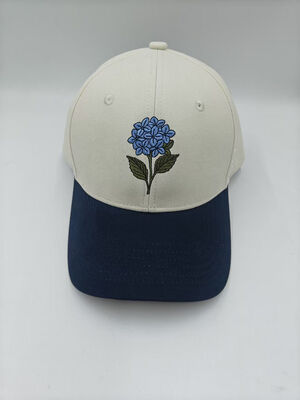 Good price 7 Panel Design BJJ Baseball Cap Adjustable Snapback Closure BJJ Training Hat online